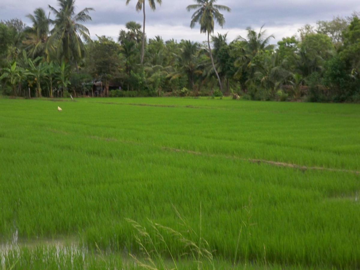 The Green View Yala Tissamaharama Esterno foto